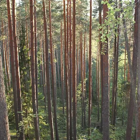 Kruunupuisto 4* Punkaharju