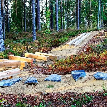 Hotel Kruunupuisto Punkaharju