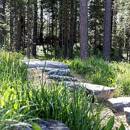 Kruunupuisto 4* Punkaharju