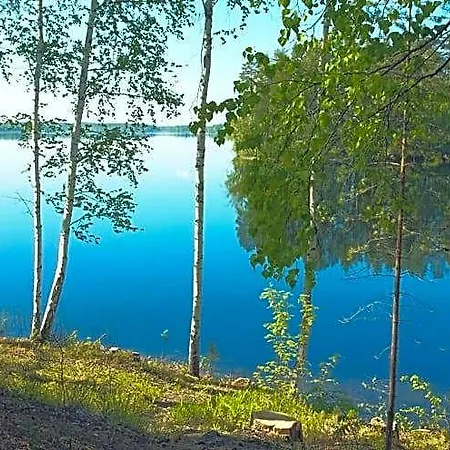 Hotel Kruunupuisto Punkaharju