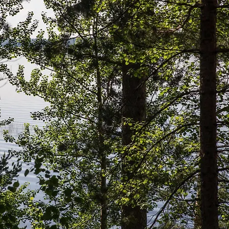Kruunupuisto Punkaharju